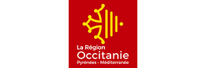 Conseil Régional d’Occitanie, Metapolis - Performance numérique et SI