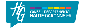 Conseil départemental de Haute-Garonne, Metapolis - Stratégie numérique