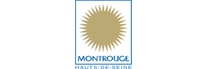 Ville de Montrouge, Metapolis - Performance numérique et SI