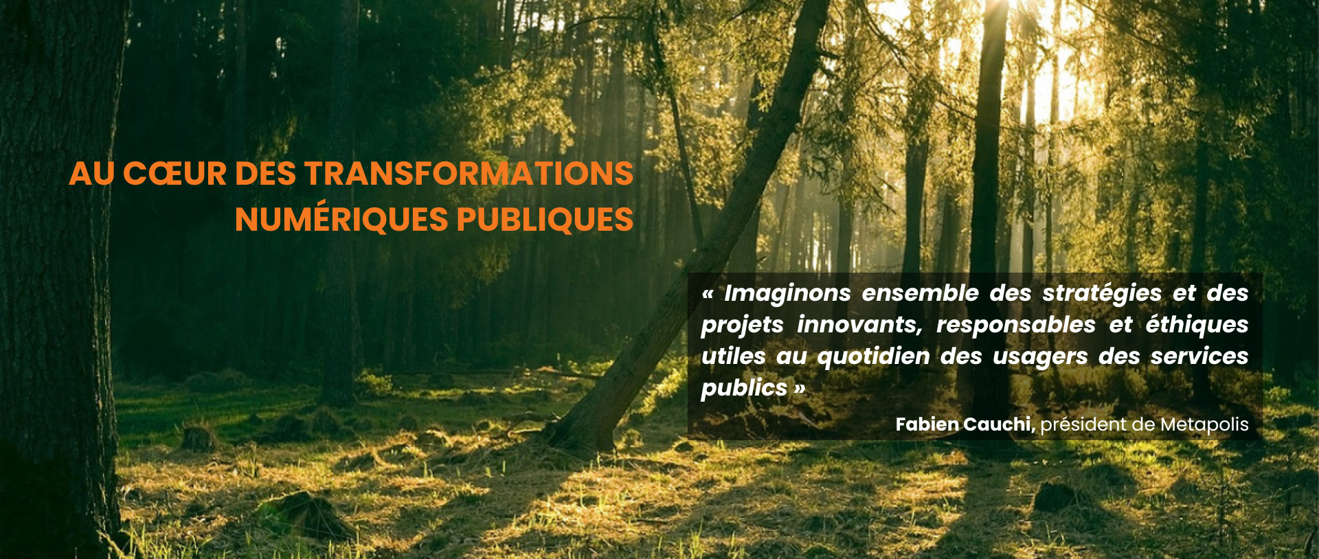 Au coeur des transformations numériques publiques "Imaginons ensemble des stratégies et des projets innovants, responsables et éthiques utiles au quotidien des usagers des services publics" Fabien Cauchi, président de Metapolis